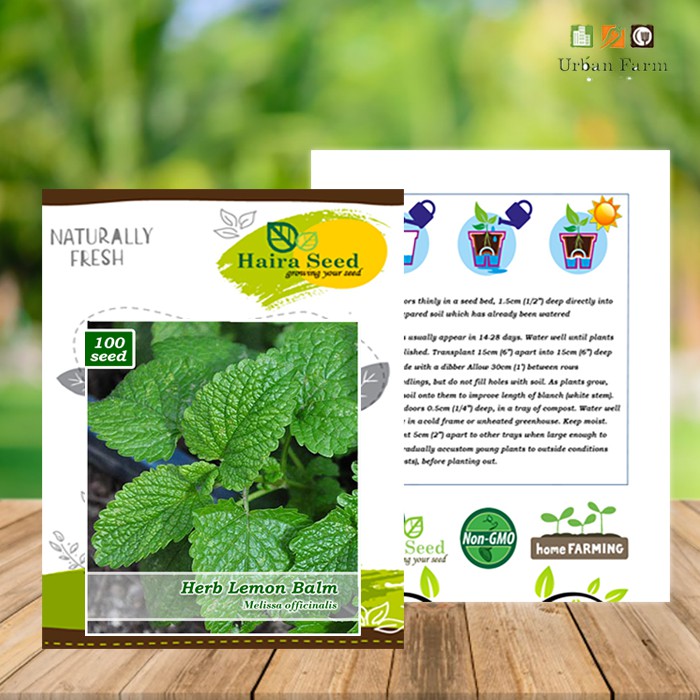 Benih-Bibit Herba Lemon Balm (Haira Seed)