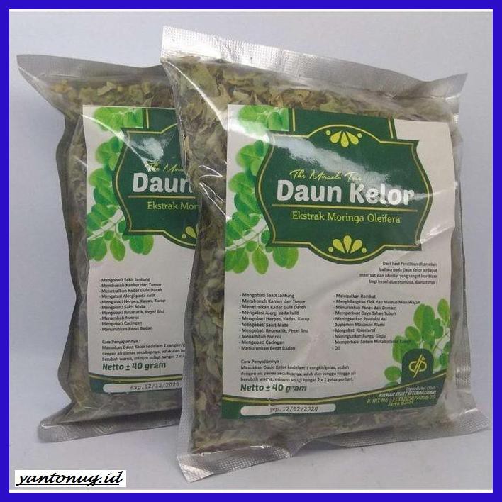 

OBAT-HERBAL- TEH SEDUH DAUN KELOR -HERBALITY.