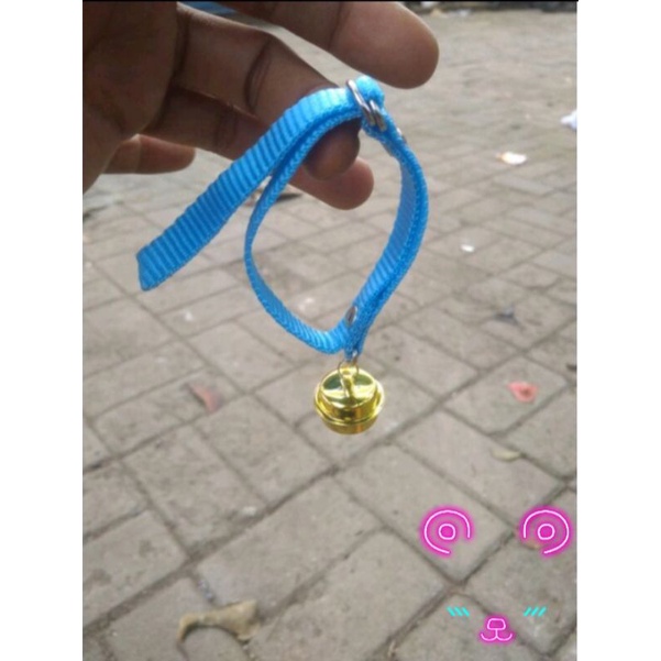 Kalung kucing lonceng