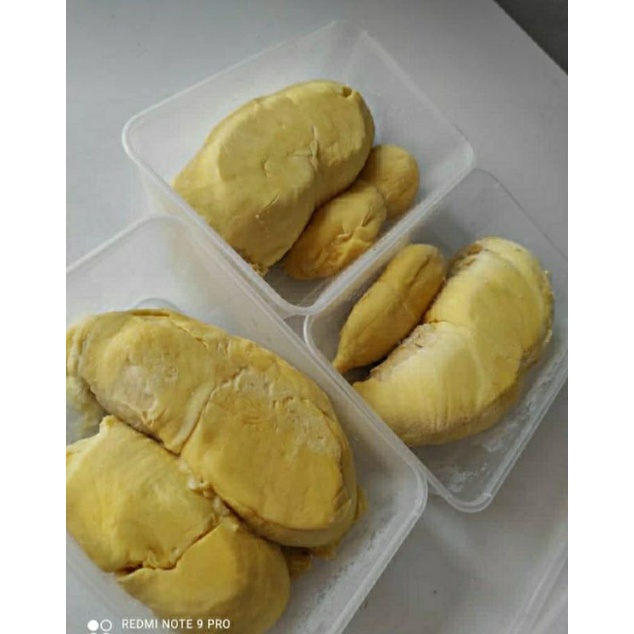 

Durian montong palu 500gr