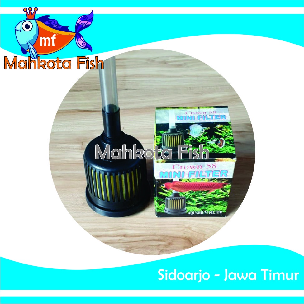 Sponge Filter | Filter Mini | Bio Filter | Bioafoam Filter | Filter Busa | Filter Aquarium (GRATIS BUBLE !!)