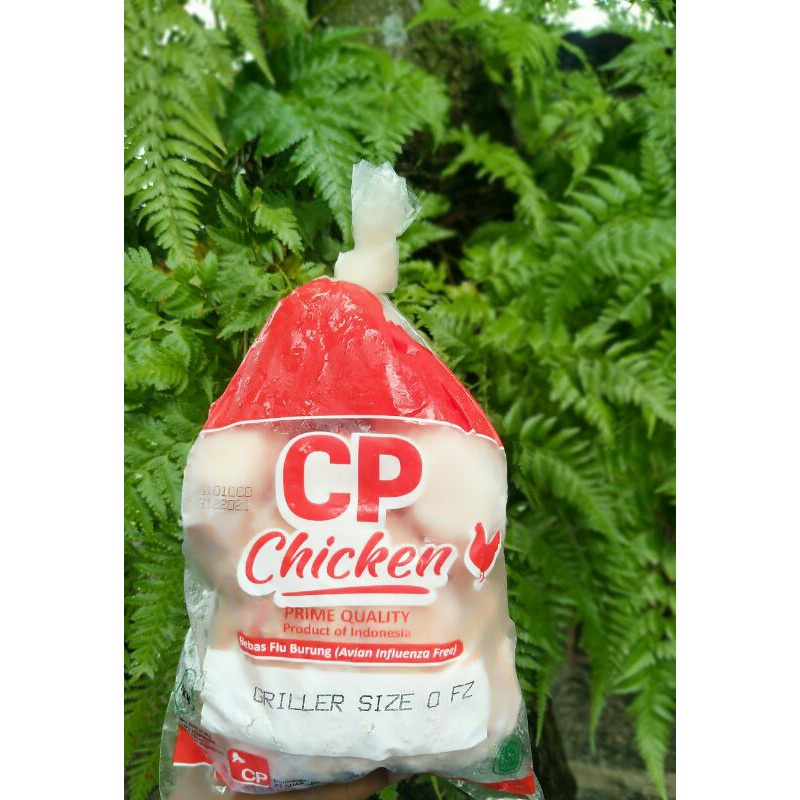 Ayam karkas broiler utuh 700-800gr