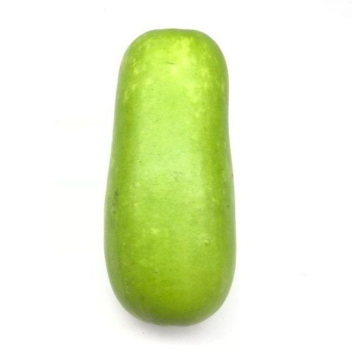 Benih Buah Labu Air Peloz  Bibit Buah Labu Air Peloz Benih Buah-buahan Berkualitas