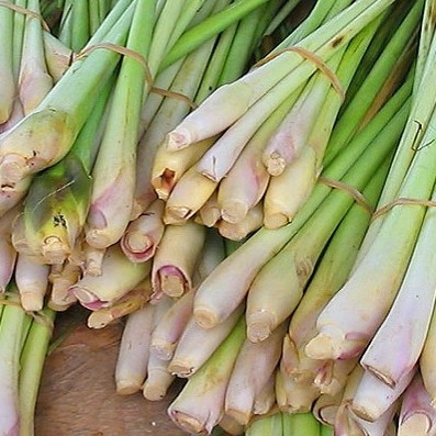 

batang serai sereh 1kg