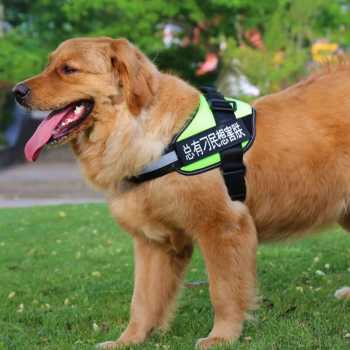 Rompi Anjing Dewasa Harnes Anjing Reflective Vests Rope Chest Straps