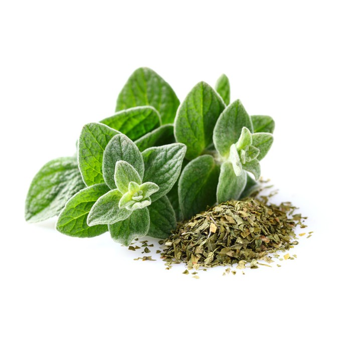 

Natural Dried Oregano ( Oregano Kering ) - 20 Gr
