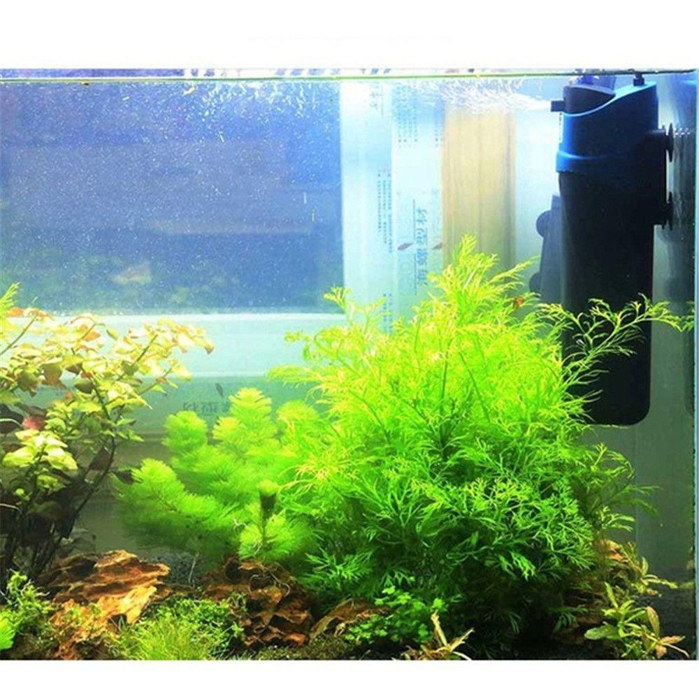 Solighter 5W Filtrasi Pompa Oksigen Tahan Lama Water Cycle Plastik Aquarium Filter