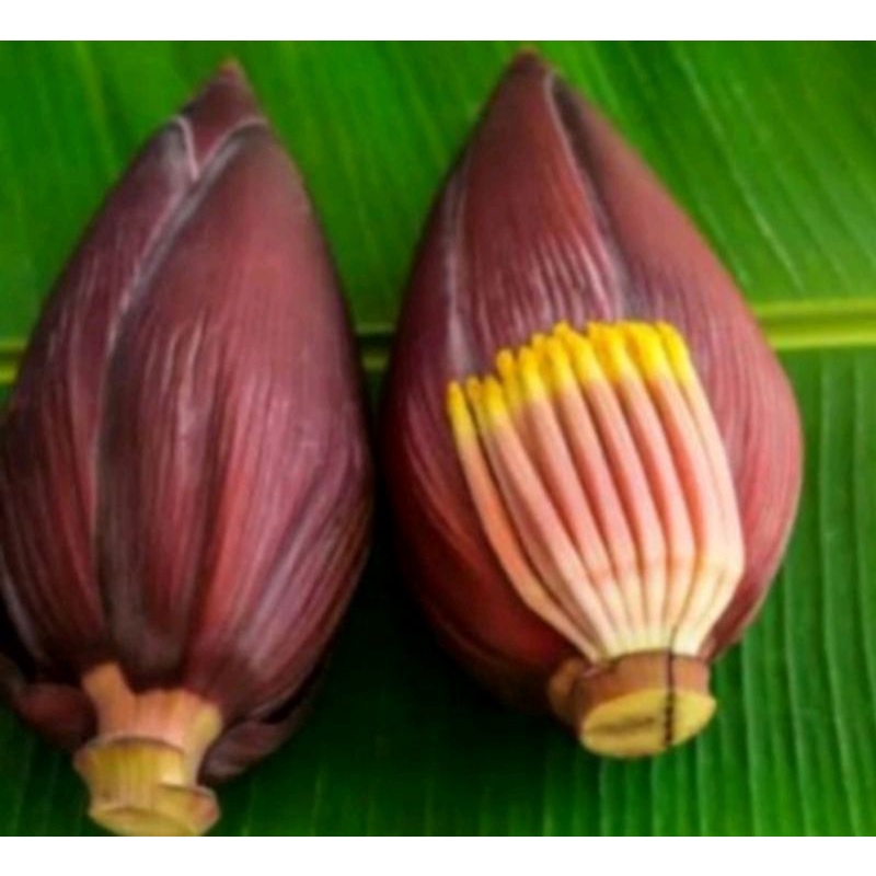 

Otong pisang Siem 1kg