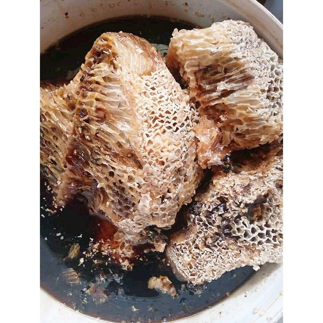 

Madu Hutan Liar Apis Dorsata 1Kg / Madu Murni Perasan Dari Sarang / Bergas Dan Enjimnya Tinggi