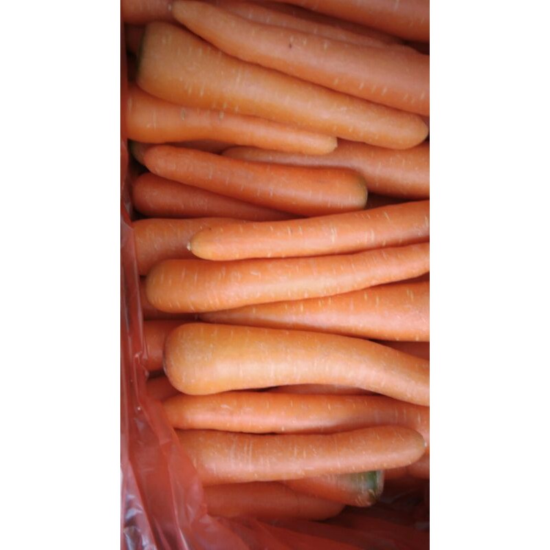

wortel import 1kg