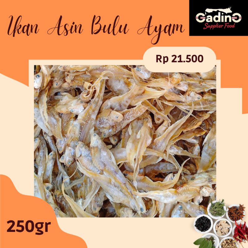 

IKAN ASIN BULU AYAM 250GR KUALITAS SUPER