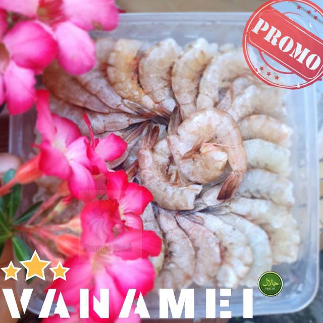 

UDANG KUPAS FRESH