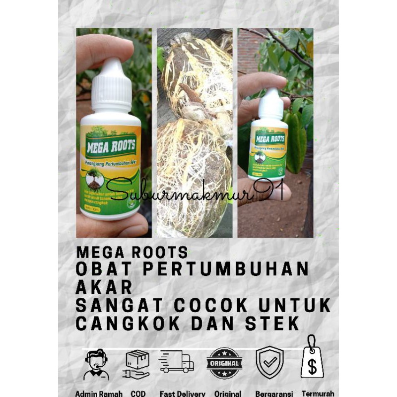 Mega Roots / PENUMBUH AKAR pohon bibit tanaman buah tanaman hias benih biji PUPUK tanaman hias bibit