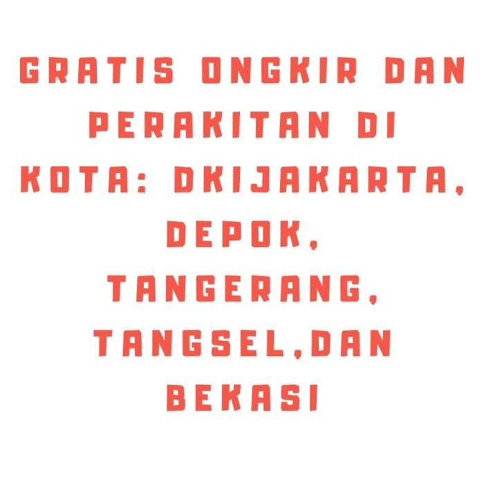 

File-Box- Lemari File Lemari Arsip Besi Merek Vip Di Jamin Ori V203 -Box-File.