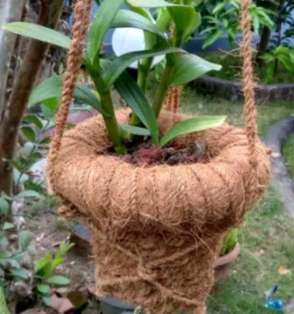 Pot Gantung Ijuk Tanaman Cantik Taman Pot Ijuk Serabut Kelapa