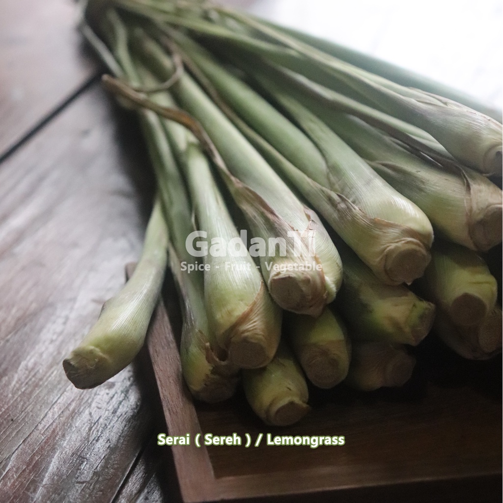 

Sereh / Serai FRESH
