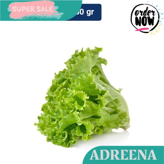 

Selada Keriting Hijau 250 gr Adreena Freshbox