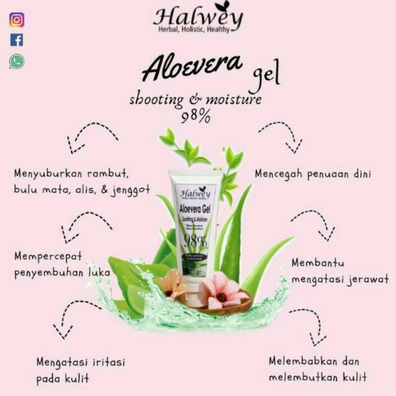 Aloevera Gel Halwey / Aloegel Halwey / Lidah buaya