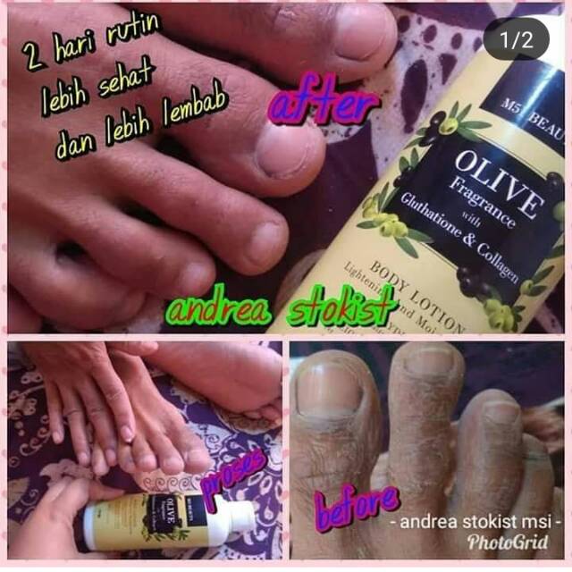 Body Lotion Olive MSI Original 100%