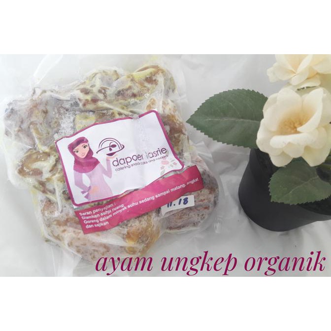 

ayam ungkep organik