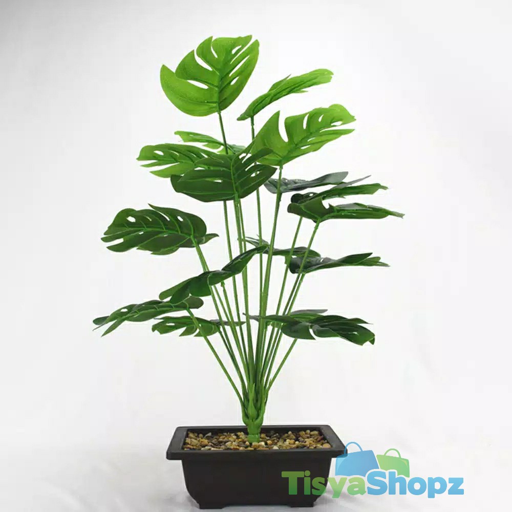 Daun Monstera JUMBO Tinggi 58 cm / Monstera 18 Cabang / Monstera Artificial [ TANPA POT ]