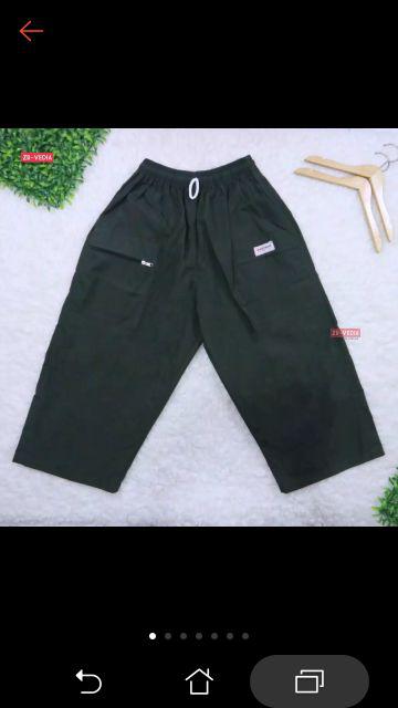 Kemeja Batik Tanduk Bintang Naladhipa Lz2303 Katun Halus Lengan Panjang Seragam Kantor Kekinian