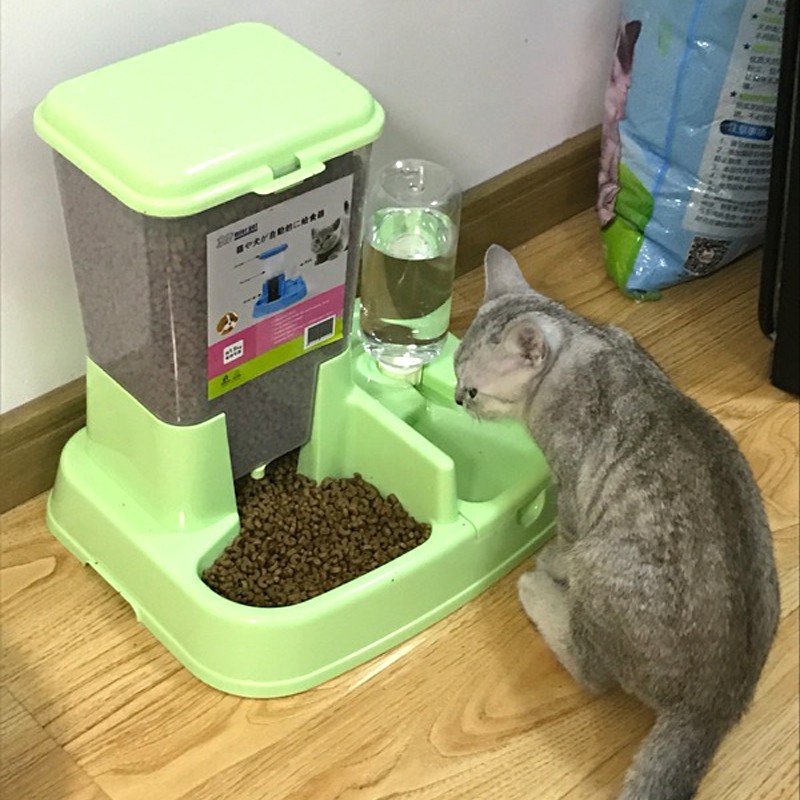 pet food auto feeder