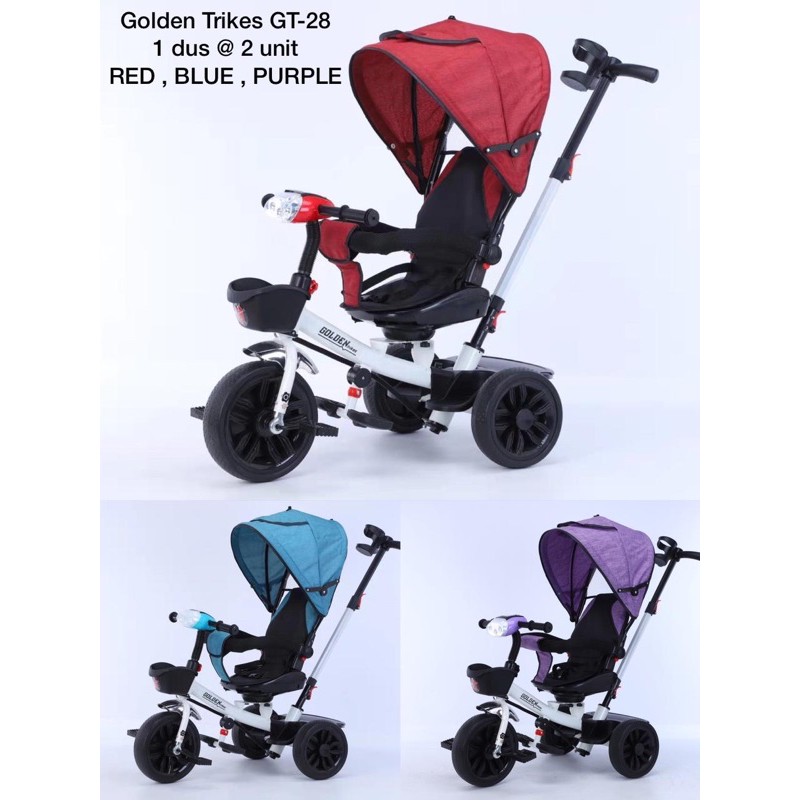 Sepeda Anak Golden Trike GT 28  Sepeda stroller anak