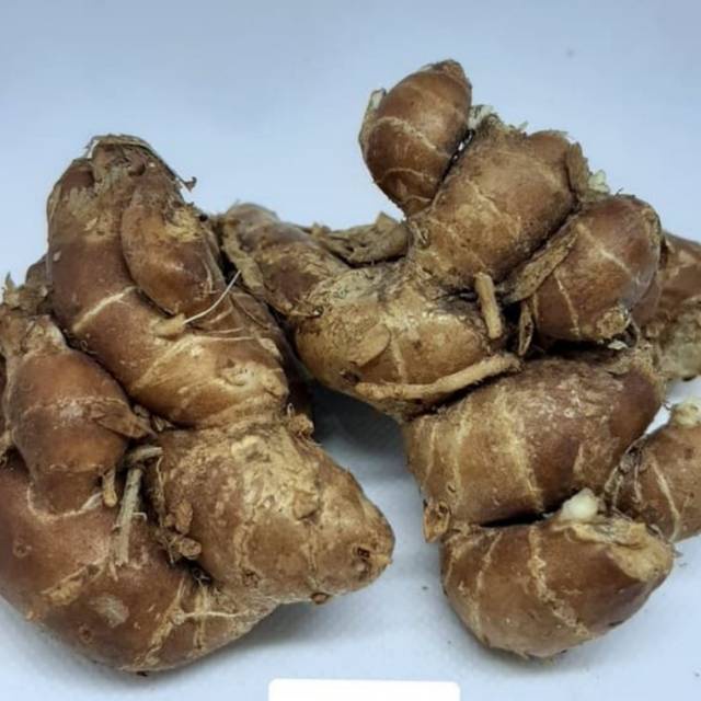 

Kencur 100gr