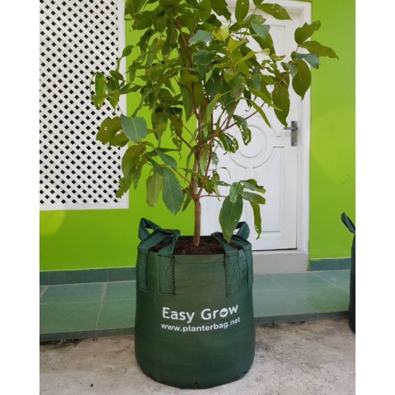 Planter Bag Easy Grow 50 L Original