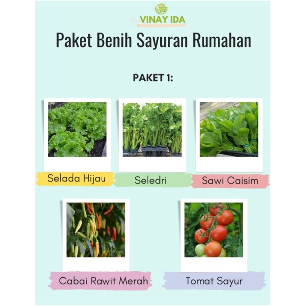 PAKET BENIH SAYURAN RUMAHAN