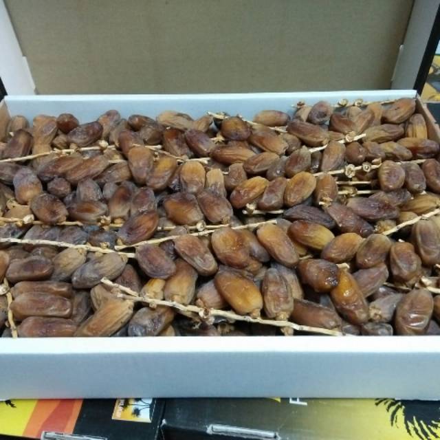 

Kurma Tunisia