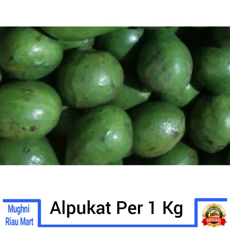 

Alpukat Mengkal Per 1 Kg - Buah