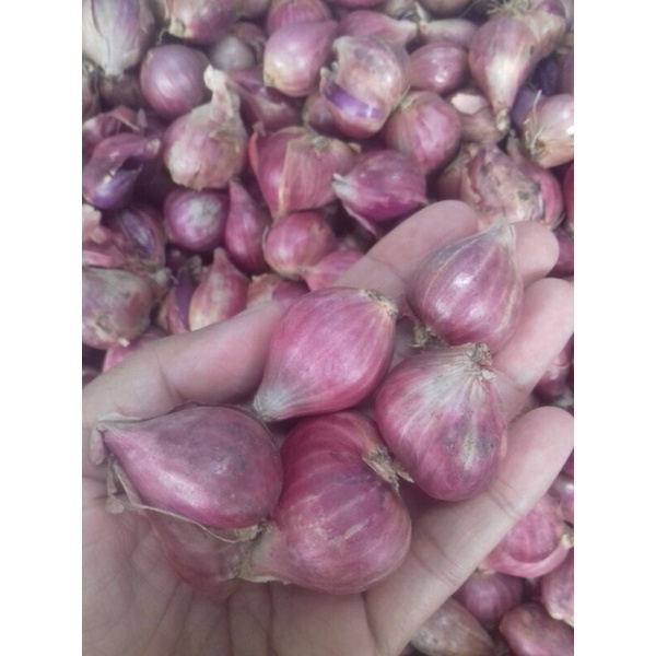 

Bawang Merah Brebes 250gram