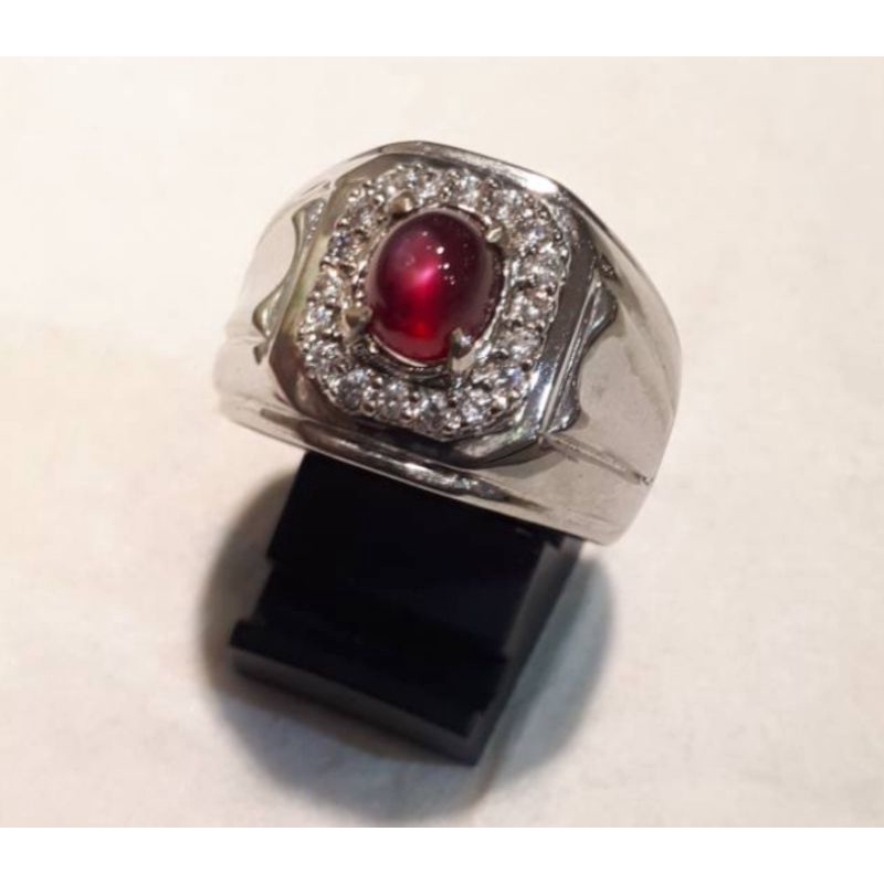 RUBY STAR PIGEON