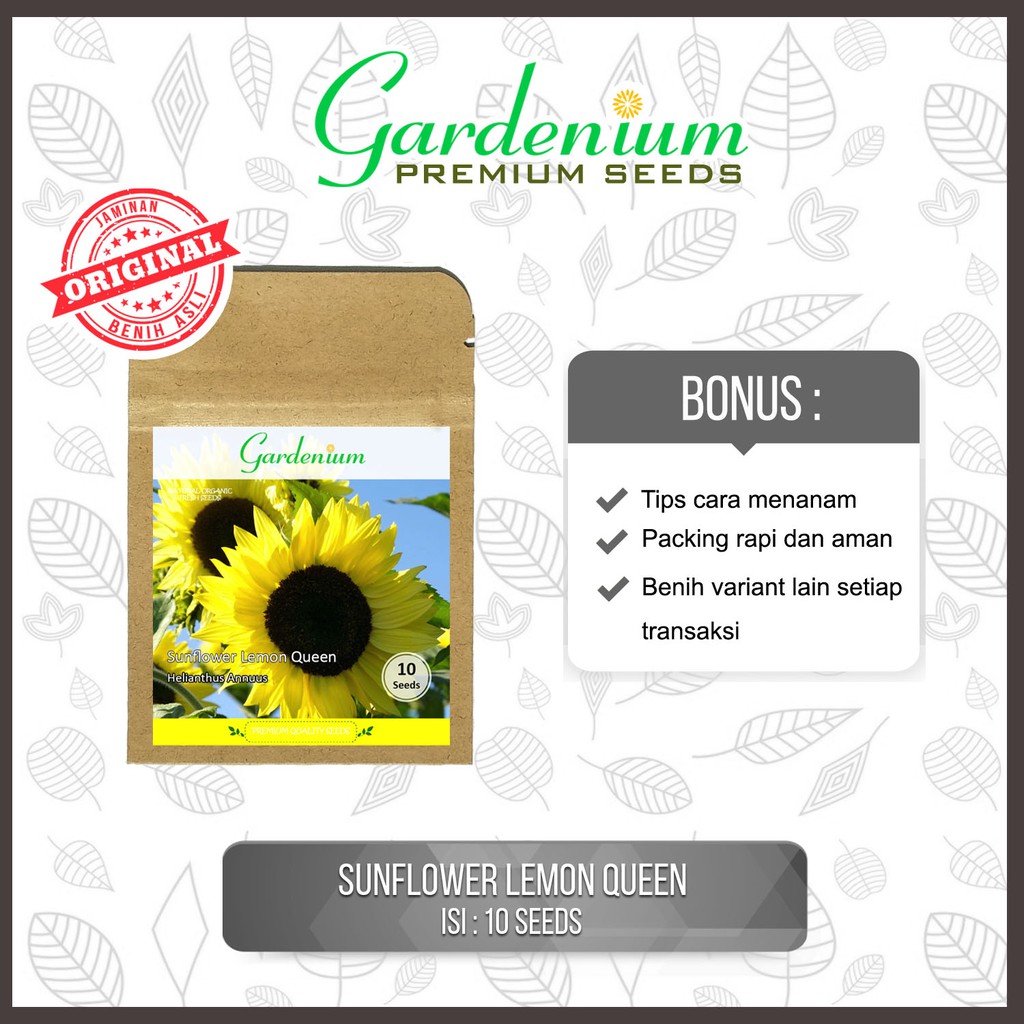 Gardenium Benih Bunga Matahari Sunflower Lemon Queen Shopee Indonesia