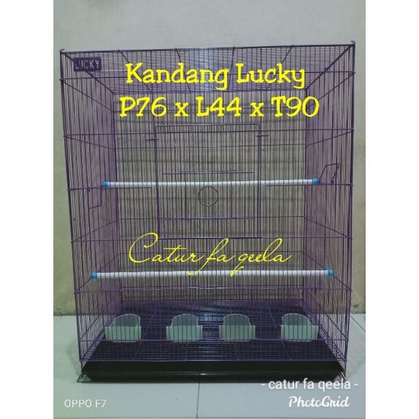 kandang besi jumbo