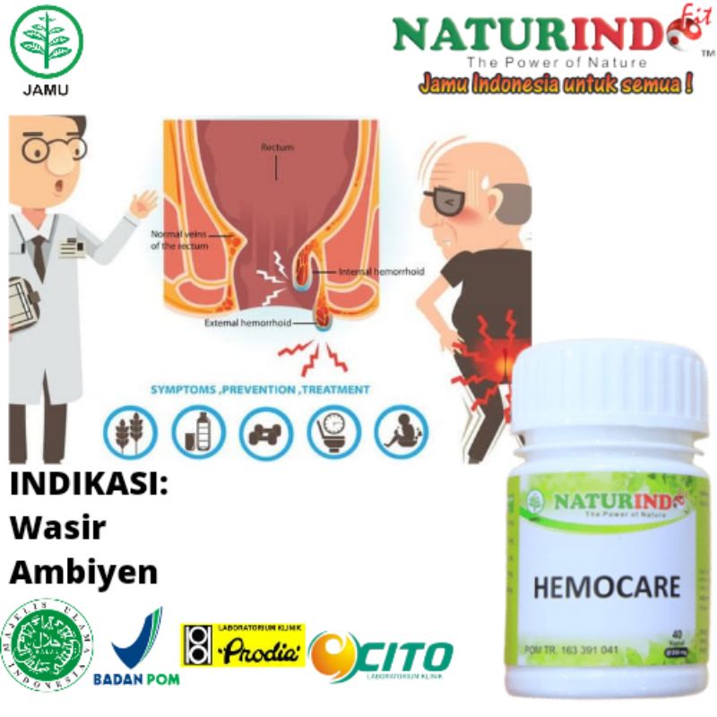 

Obat Herbal Ampuh Atasi Wasir / Ambeien Secara Alami Dan Cepat