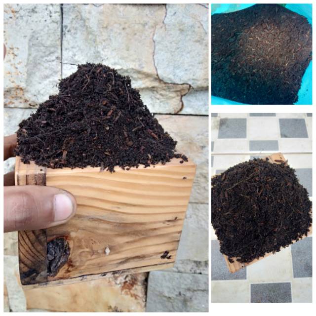 Media tanam organik humus