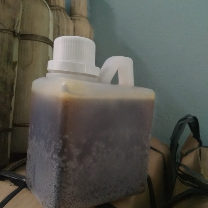 

bf011bb Madu Hitam Sumbawa Ds201Fs