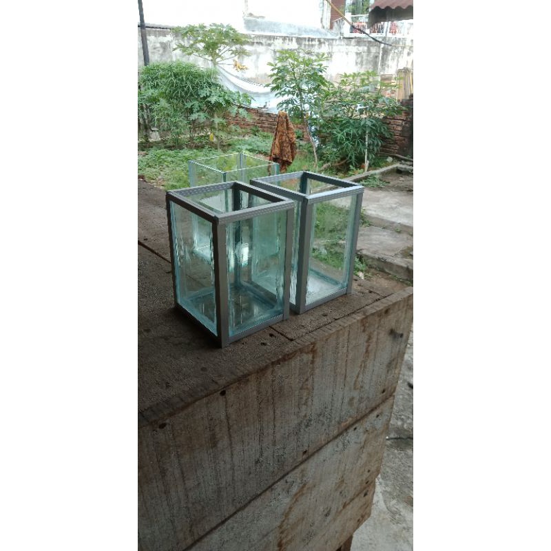 AQUARIUM IKAN HIAS / AQUARIUM IKAN CUPANG