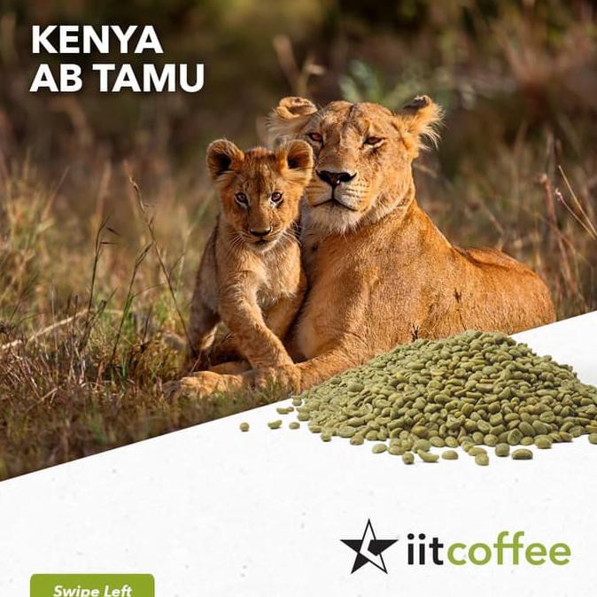 

Arabica Green Beans - Kenya AB Tamu Washed 1 Kg
