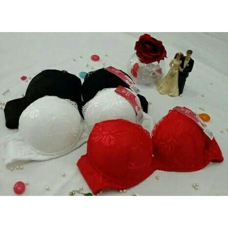 Bra Busa Tebal Push Up Renda Brukat Lace Sexy