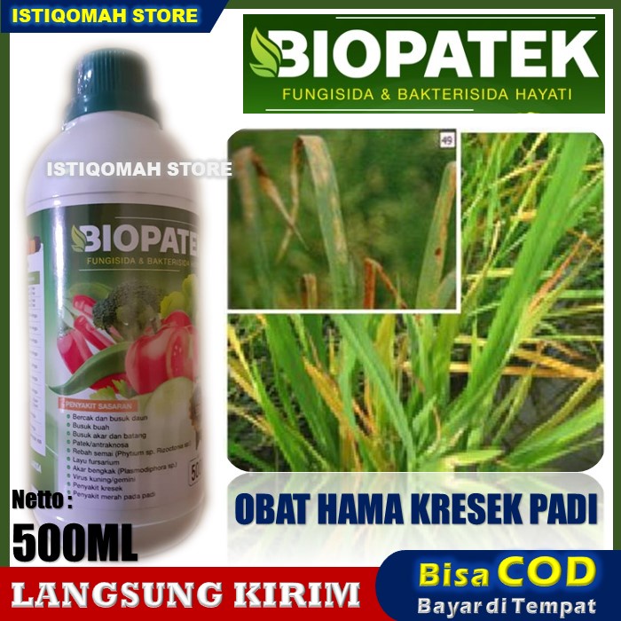 BIOPATEK Fungisida Hayati Pupuk Organik Mengatasi Penyakit Kresek, Penyakit BLAST, Penyakit Merah pada Padi, Virus Kuning/Gemini dan Penyakit Hawar Padi Paling Manjur dan Ampuh Murah 100% Alami ORI TERLARIS