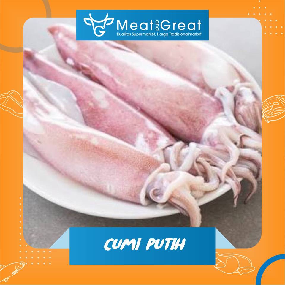 

Cumi Kecil / Besar Segar 1 kg & 500gr
