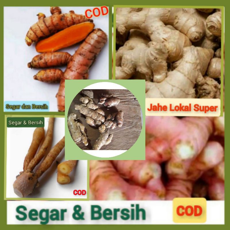 

Bumbu Kencur Laos Merah Jahe Kunci Kunyit Masak Segar Lokal 5 in 1 Murah