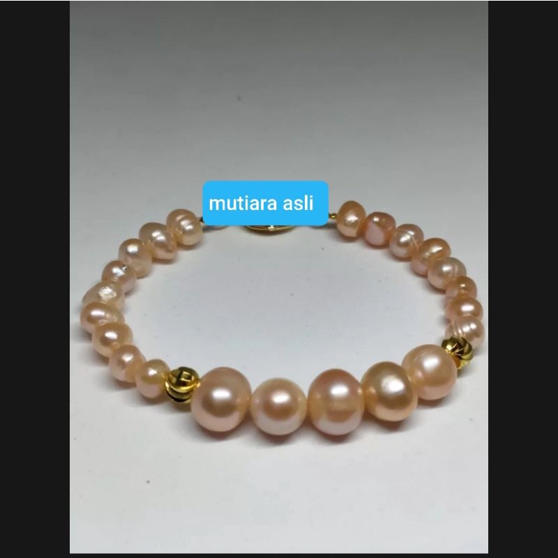 MUTIARA AIR TAWAR ASLI MUTIARA AIR TAWAR LOMBOK ASLI MUTOARA LOMBOK ASLI MUTIARA LOMBOK MUTIARA MEWA