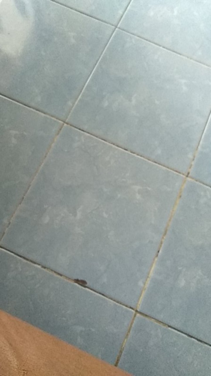 Sendok Makan Stainless Steel 1pack 12pcs