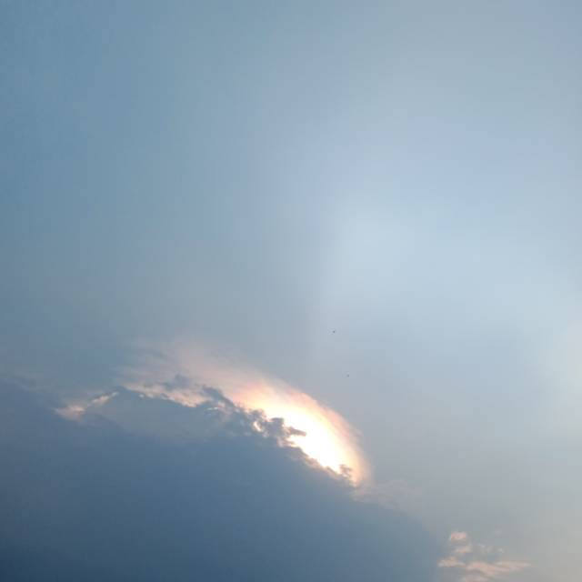 andinisalmasalsabila_