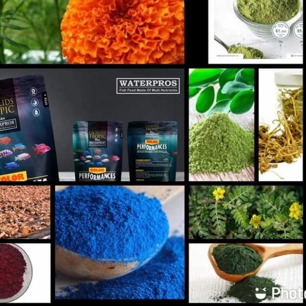 ♘ [PAKAN CICHLID] Pelet Ikan WATERPROS Pump Performance 185 gram ➫